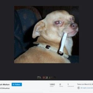 Meet your Posher, Kasey